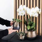 Hummingbird Home | Elite pot copper - Ø12cm by Kolibri Company
