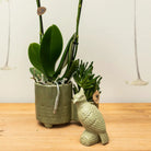 Hummingbird Home | Ornament - Decoration statue Cockatoo - Green by Kolibri Company
