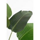 Artificial plant Green by Mica Decorations