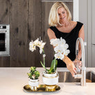 Kolibri Company – Set aus weißer Orchidee und Sukkulente auf goldenem Tablett von Kolibri Company