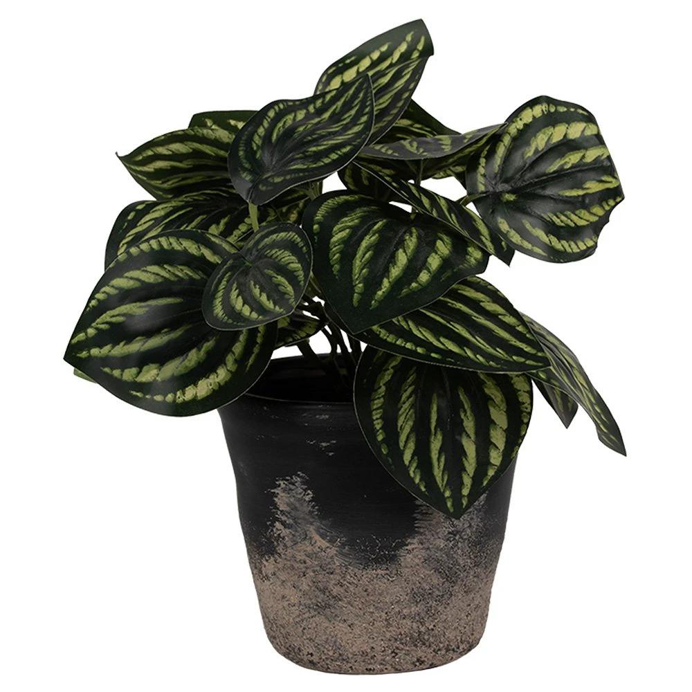 Decoration flower pot Ø 12x11 cm by Clayre & Eef.