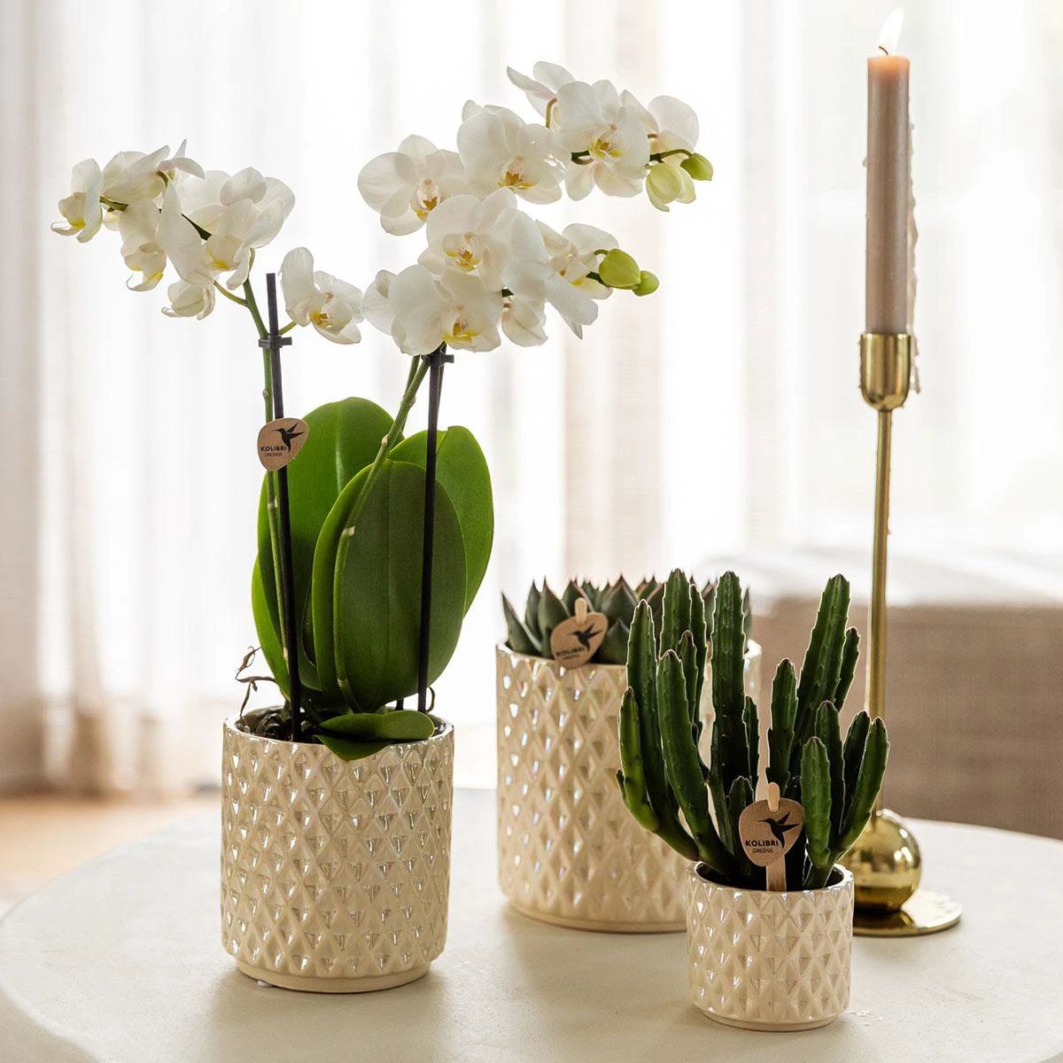 Kolibri Home | Diamond pearl sierpot - Travertine - Ø9cm by Kolibri Company