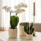Kolibri Home | Diamond pearl sierpot - Travertine - Ø9cm by Kolibri Company