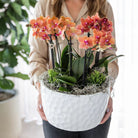Hummingbird Orchids | orange plant set in Honey dish incl. water reservoir | three orange orchids Bolzano 9cm and three green plants | Jungle Bouquet orange with self-sufficient water reservoir by Kolibri Company