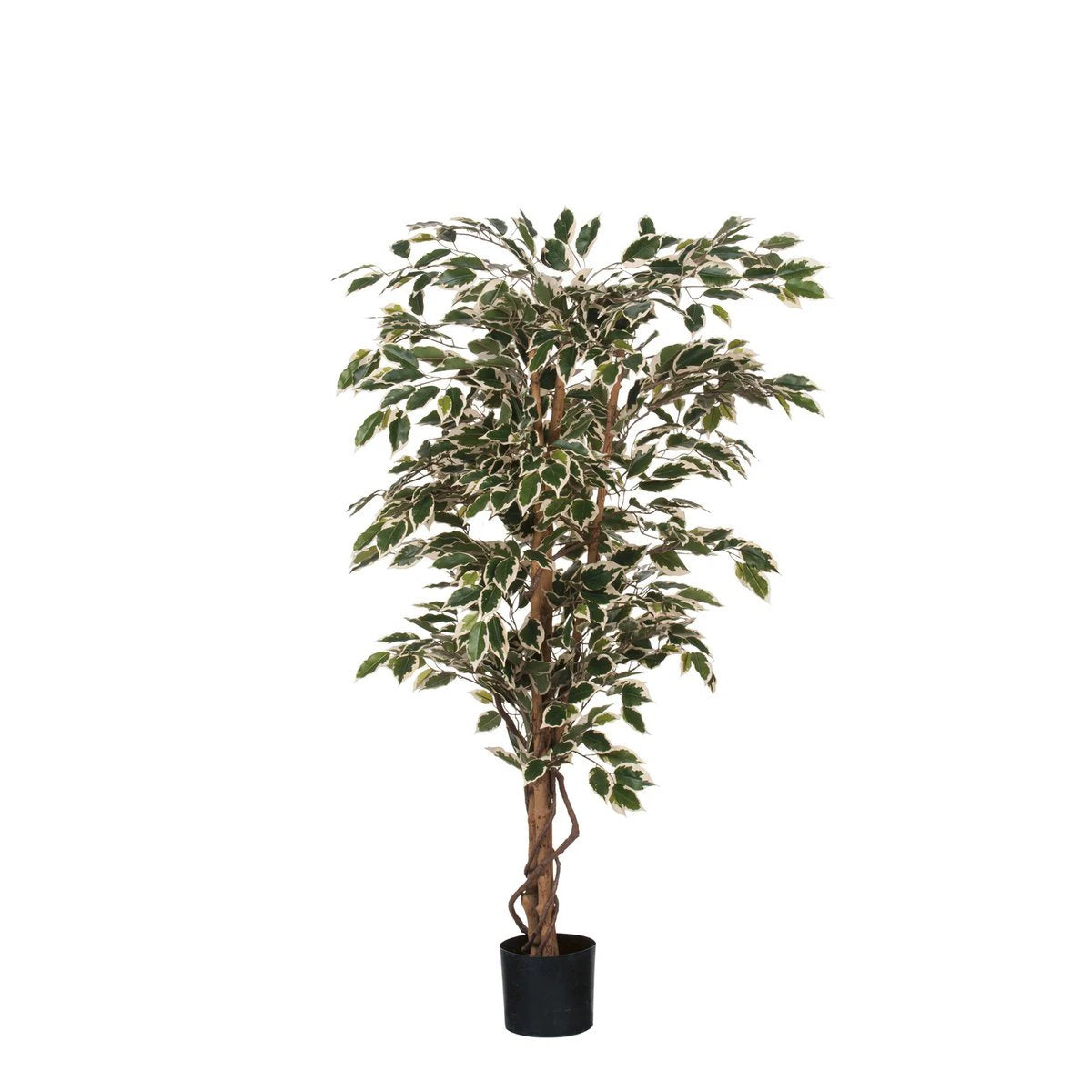 Artificial plant Ficus Green by Mica Decorations