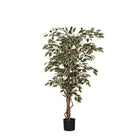 Artificial plant Ficus Green by Mica Decorations