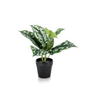 Artificial plant - Scindapsus Pictus - Lucky plant - 30 cm by Green boutiQ