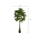 Artificial plant Pachira Green by Mica Decorations