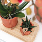 Hummingbird Home | Bamboo oval tray by Kolibri Company