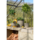Artificial plant Laurel Green by Mica Decorations