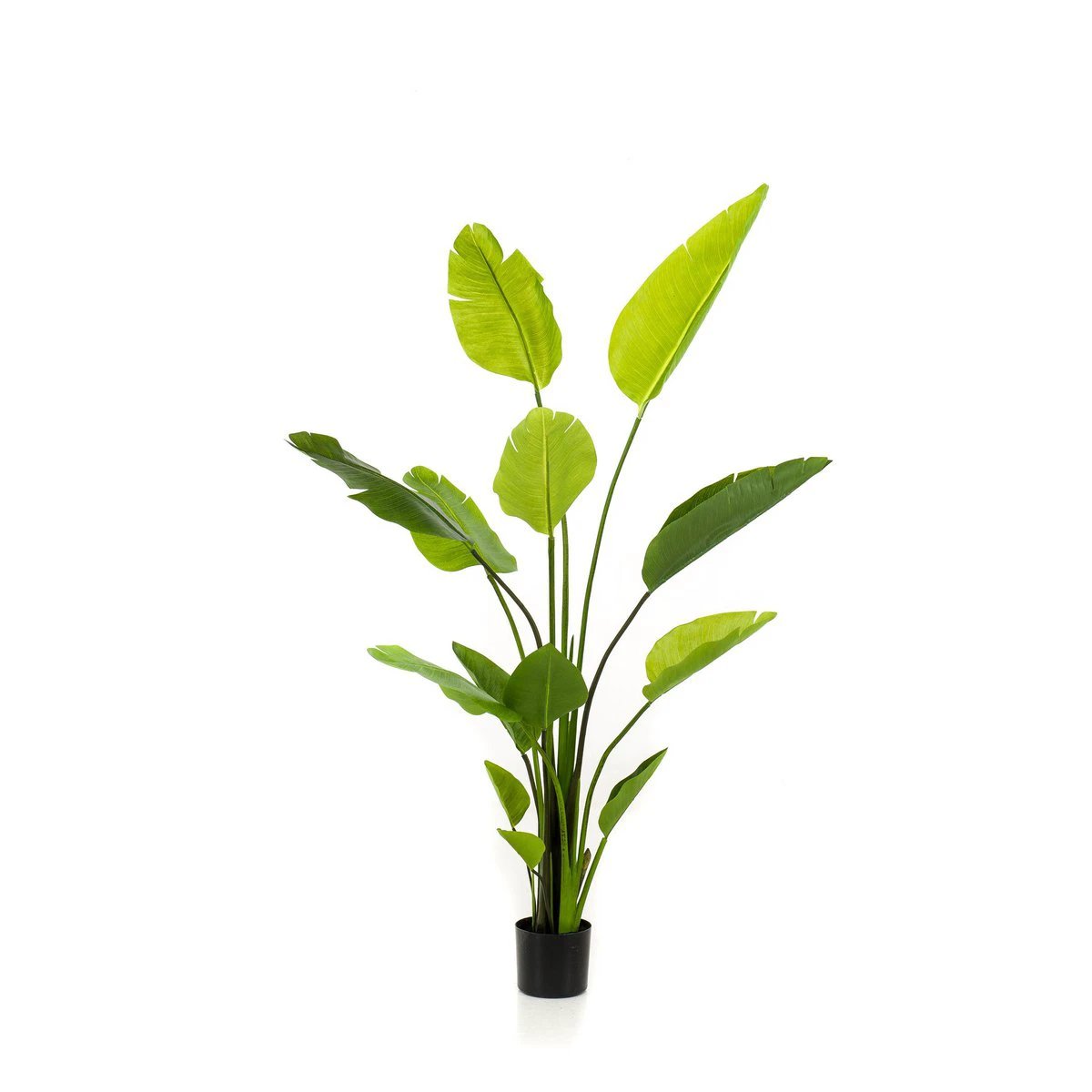 Kunstpflanze – Strelitzia Nicolai – Paradiesvogelblume – 150 cm von Green boutiQ