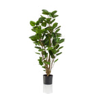 Kunstplant - Polyscias - Aralia - 105 cm by Green boutiQ