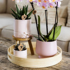 Hummingbird Home | Plant stand - Wooden plant raiser Ø12cm by Kolibri Company
