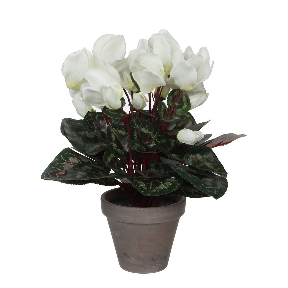 Artificial plant Cyclamen White by Mica Decorations