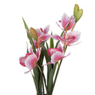 Artificial plant 14x14x55 cm Pink Plastic by Clayre & Eef.