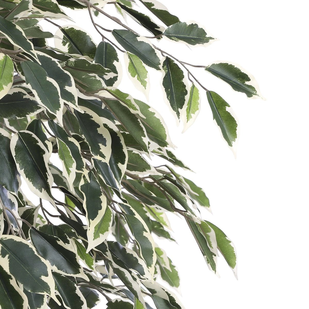 Artificial plant Ficus Green by Mica Decorations