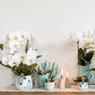 Kolibri Home | Coral - Blue - Ø9cm by Kolibri Company