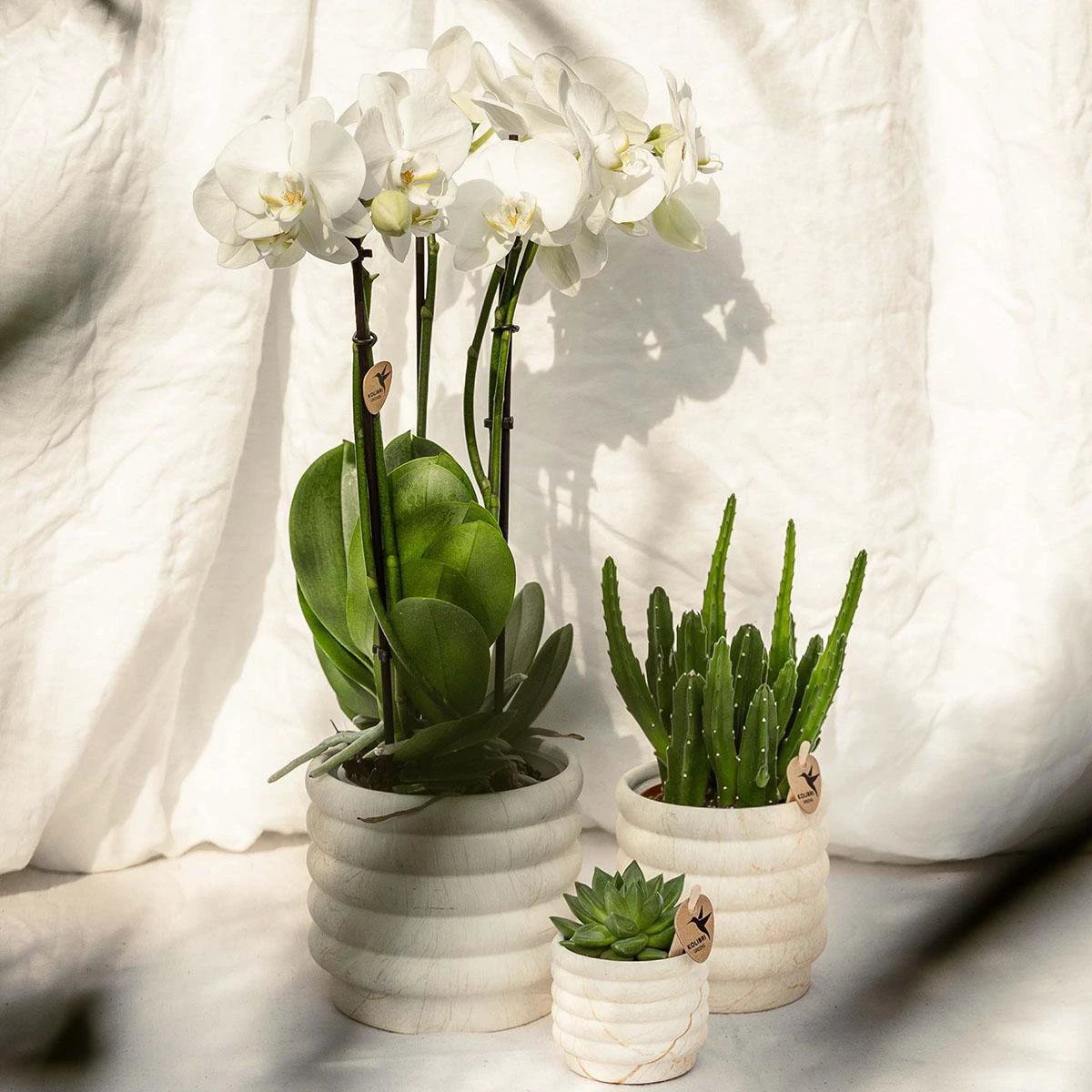 Kolibri Home | Marble pot - Light - Ø9cm by Kolibri Company