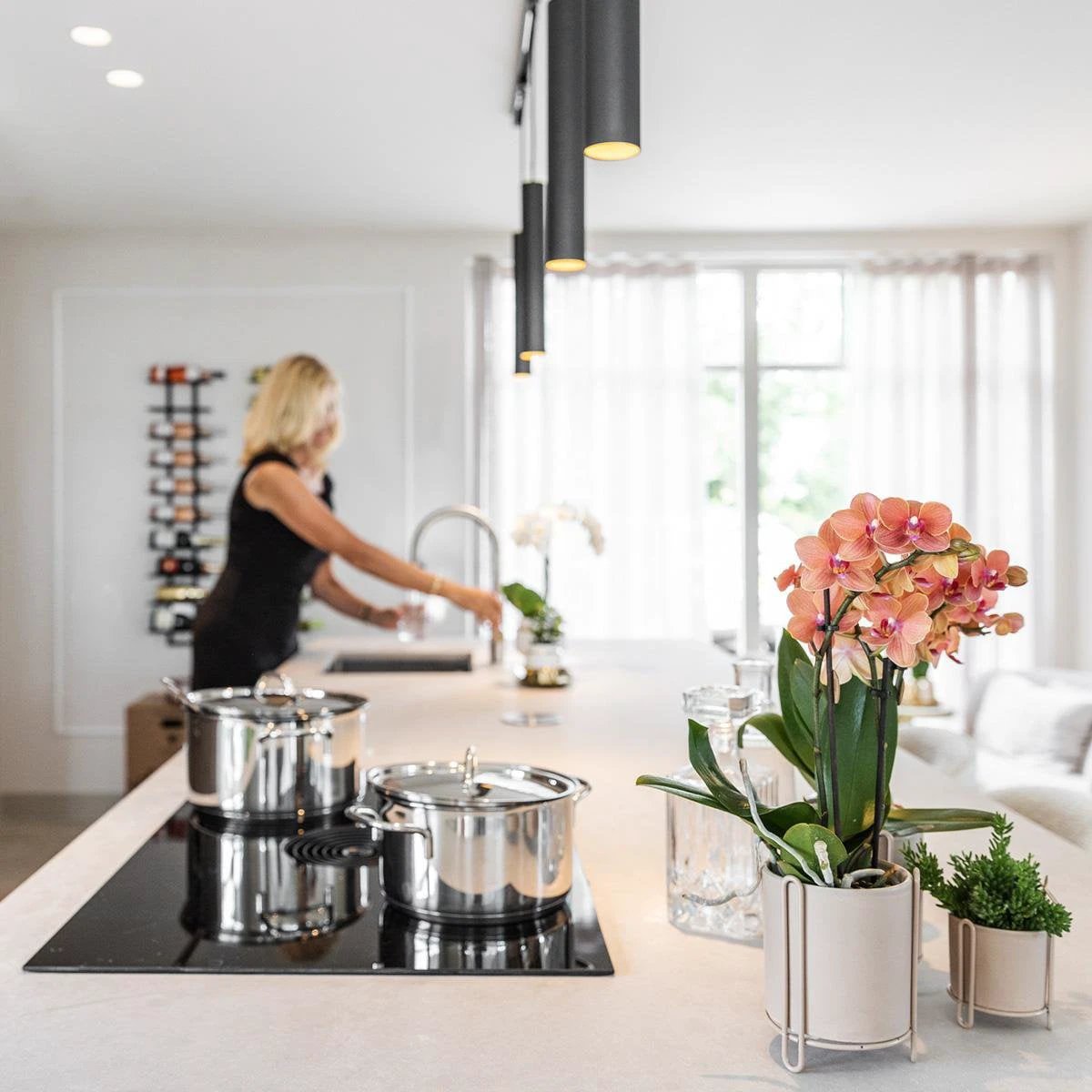 Kolibri Orchids | Kombi-Angebot von 2 orangefarbenen Phalaenopsis-Orchideen – Bolzano – Topfgröße Ø9 cm blühende Zimmerpflanze – frisch vom Züchter von Kolibri Company
