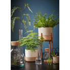 Flowerpot inside Lago White by Mica Decorations