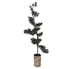 Mini Artificial Christmas Tree 35x35x100 cm / 3xAAA Green Wood by Clayre & Eef.