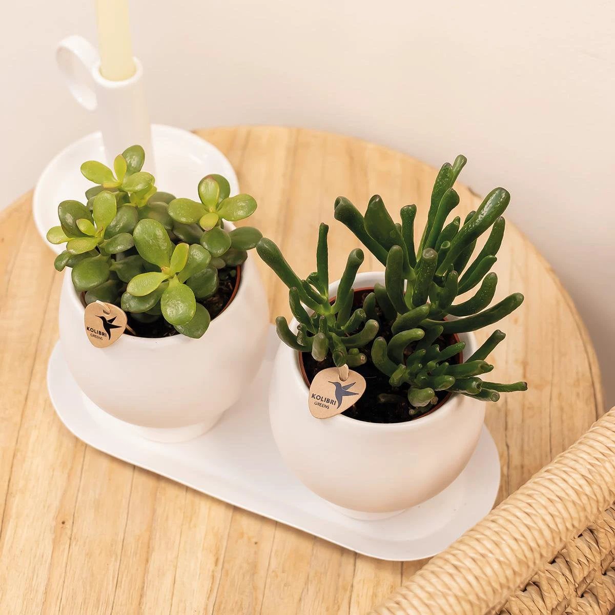 Kolibri Home | Plate oval - Ovale dienblad Ø30cm - White by Kolibri Company