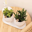 Kolibri Home | Plate oval - Ovale dienblad Ø30cm - White by Kolibri Company