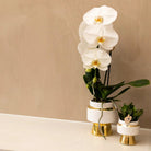 Hummingbird Home | Le Chic flower pot - White ceramic decorative pot with gold details - Ø6cm by Kolibri Company