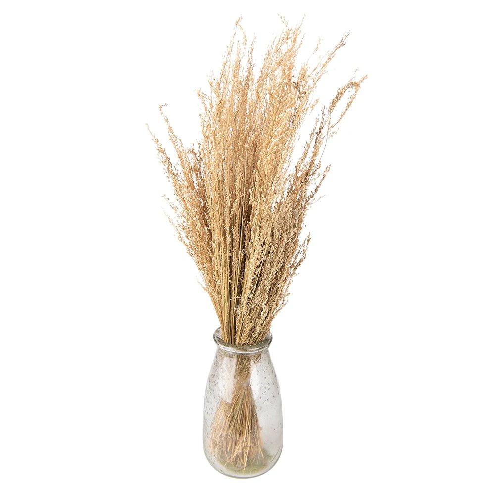 Trockenblumen 55 cm (100 g) von Clayre & Eef.