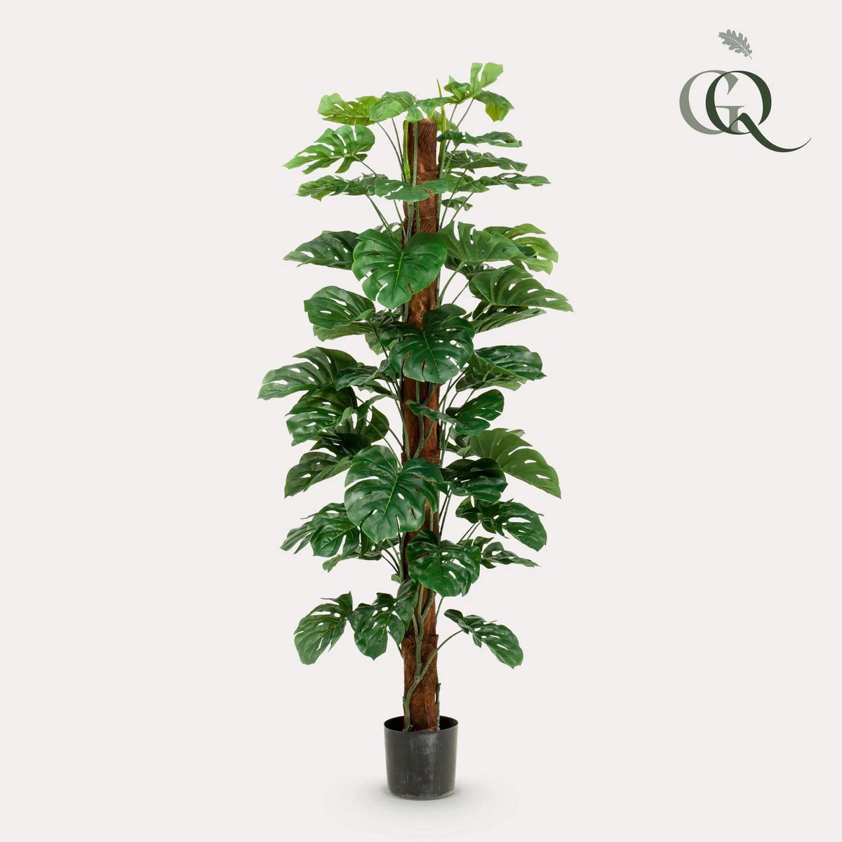 Monstera Deliciosa – Kunstpflanze – 180 cm von Green boutiQ
