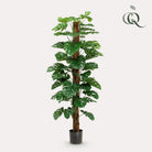 Monstera Deliciosa – Kunstpflanze – 180 cm von Green boutiQ
