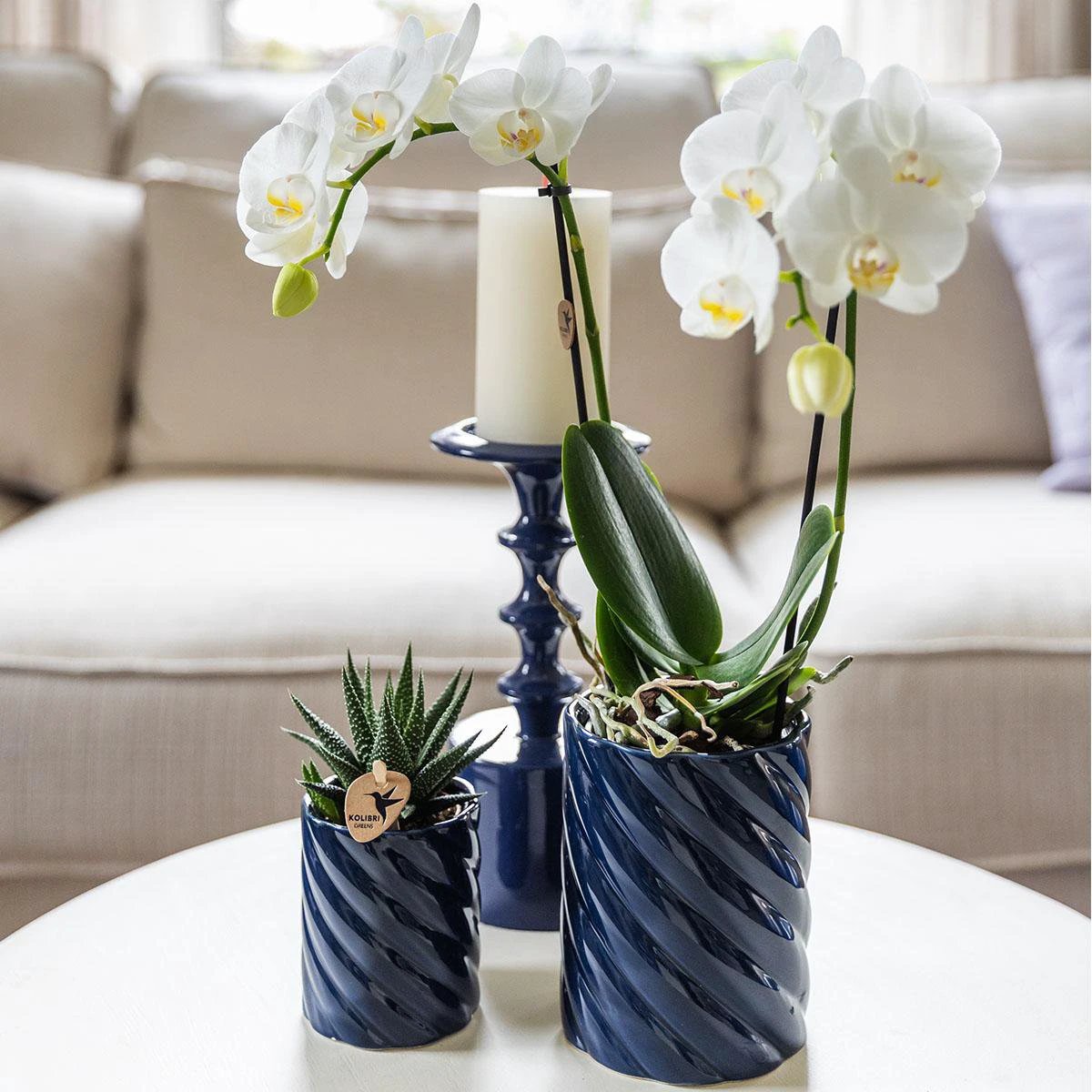 Kolibri Home | Candy sierpot | Hoog - Blue - Ø9cm by Kolibri Company