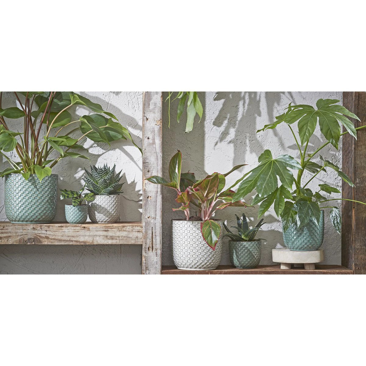 Flowerpot inside Daan Wit by Mica Decorations