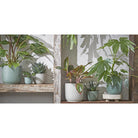 Flowerpot inside Daan Wit by Mica Decorations