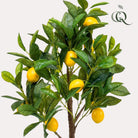 Art plant - Citrus Limonia - Citroenboom - 75 cm by Green boutiQ
