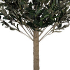 Artificial Olive Tree 45x45x120 cm Green Plastic by Clayre & Eef.