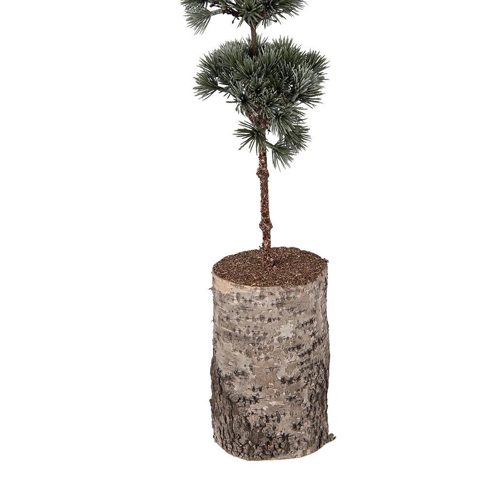 Mini Artificial Christmas Tree 15x15x80 cm Green Wood by Clayre & Eef.