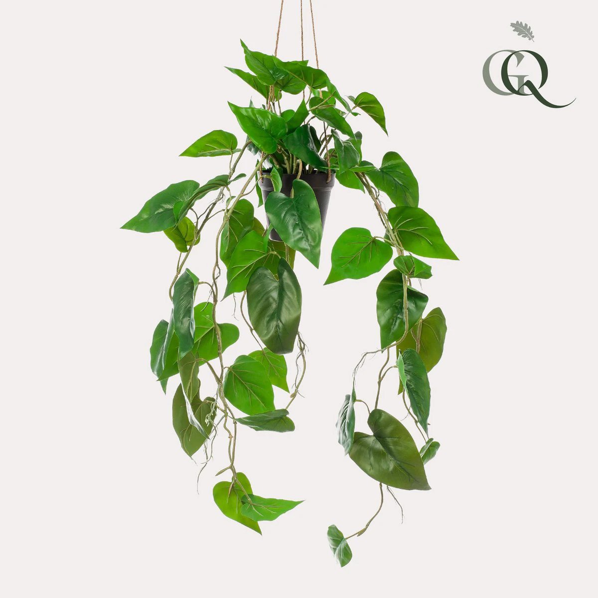 Art Plant - Philodendron Scandens - Climate Boomliefhebber - 80 cm by Green boutiQ