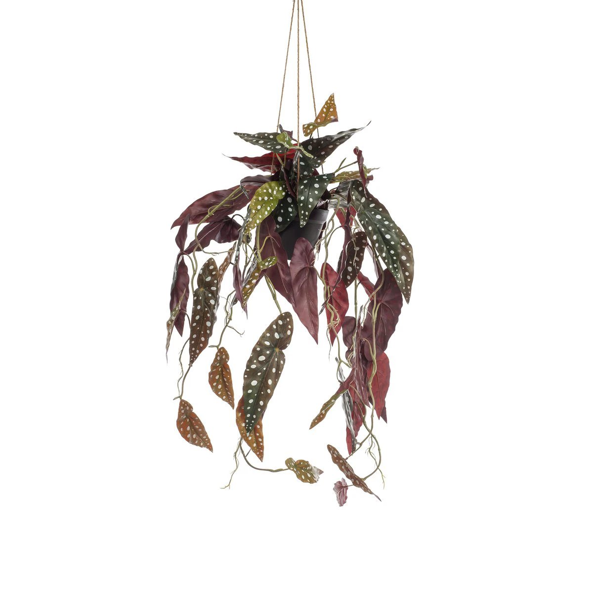Kunstpflanze – Begonia maculata – Stippenbegonie – 80 cm von Green boutiQ