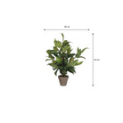 Artificial plant Hosta Green by Mica Decorations