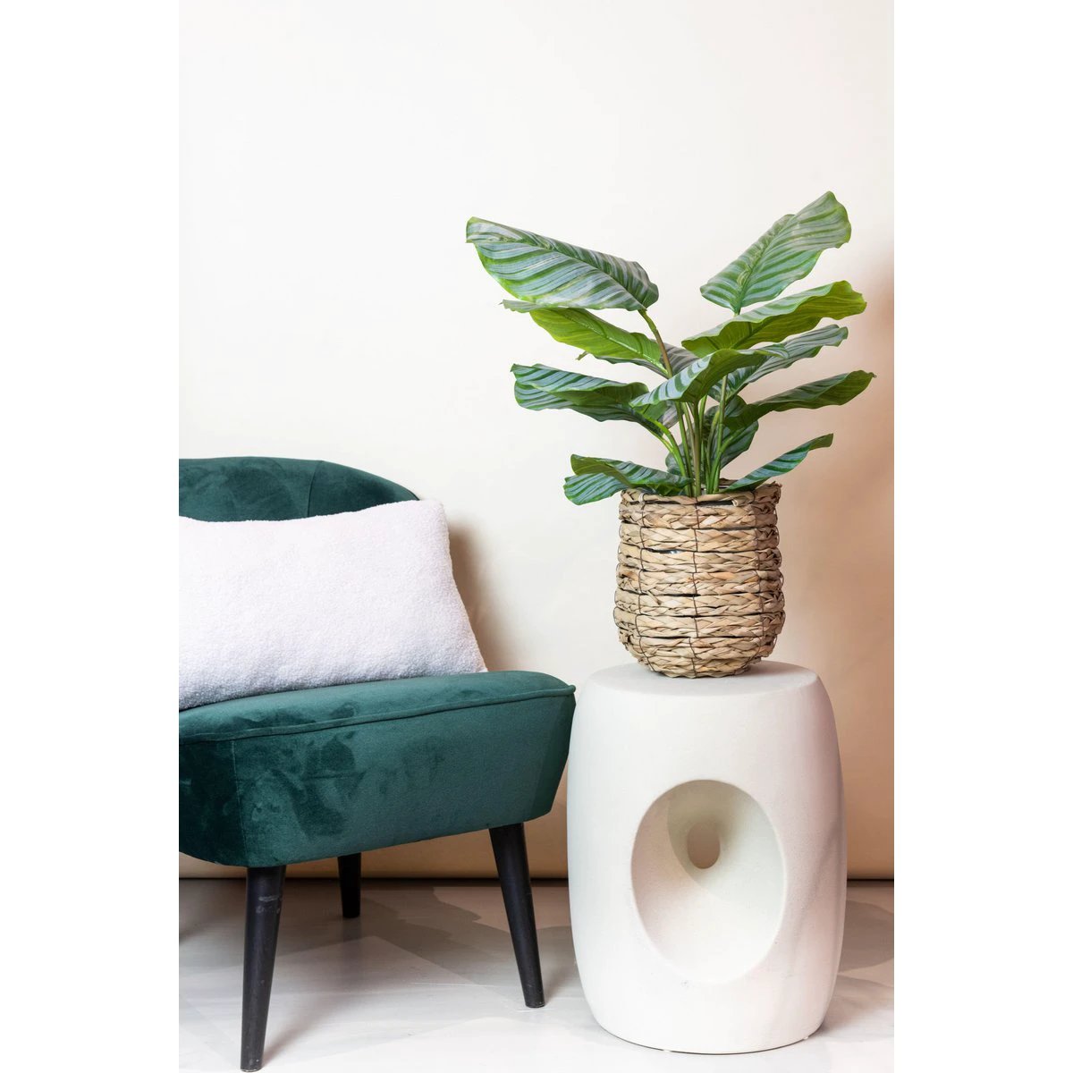 Kunstpflanze – Calathea Orbifolia – Schattenpflanze – 60 cm von Green boutiQ