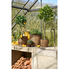 Flowerpot outside Durban Brown by Mica Decorations
