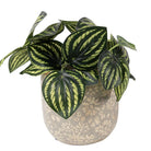 Blumentopf Ø 14x13 cm graue Keramik von Clayre & Eef.