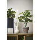 Artificial plant Monstera green by Mica Decorations