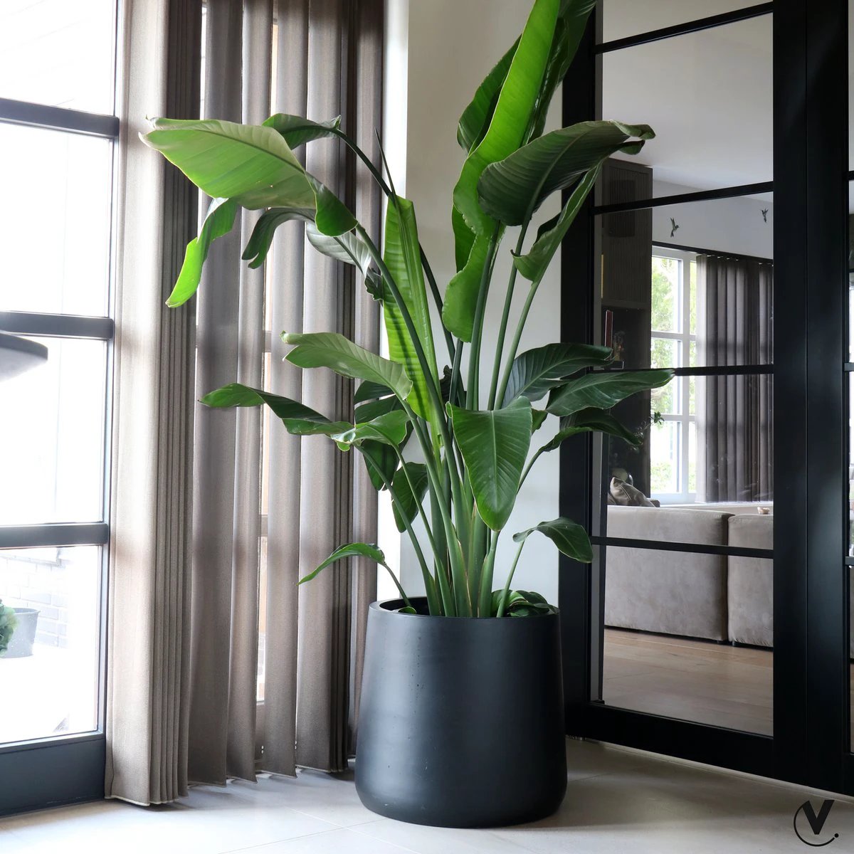 Plantenpot - Portland black by Vase The World