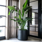Plantenpot - Portland black by Vase The World