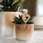 Kolibri Home | Gradience sierpot - Brown - Ø6cm by Kolibri Company
