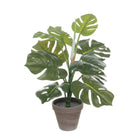 Artificial plant Monstera green by Mica Decorations