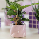Kolibri Home | Candy sierpot - Pink - Ø6cm by Kolibri Company