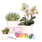 Kolibri Creatives | Paint package for painting 12 flower pots + orchids and succulents | for at least 4 people | True artist by Kolibri Company